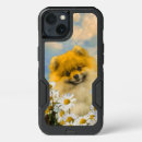 Search for pomeranian iphone cases Zwergspitz