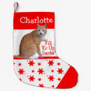 Search for orange cat christmas stockings Animals