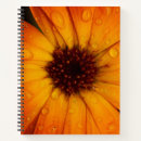 Search for macro notebooks beautiful