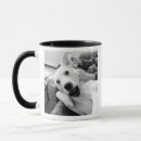 Search for dog dad gifts Humor