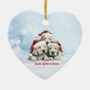 Search for vizsla ornaments Animals