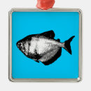 Search for aquarium ornaments Pets