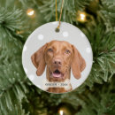 Search for vizsla ornaments Dog