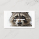 Search for trapping business cards Raccoon