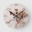 Search for chihuahua clocks pet