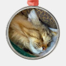 Search for maine ornaments Tabby