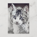 Search for cat enclosure cards black