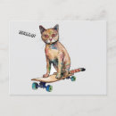 Search for funny cat postcards Modern
