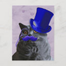 Search for blue cat postcards Tophat