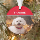 Search for bichon frise ornaments Pets