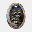 Search for raccoon ornaments Woodland