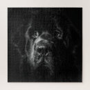 Search for newfoundland dog puzzles Cute