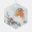 Search for robin ornaments Nature