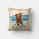 Search for brown and blue pillows Modern