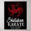 Search for karate posters Fighter