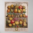 Search for fruit season chart Pieter