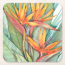 Search for tropical coasters Botanical