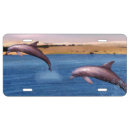 Search for dolphin license plates Nature