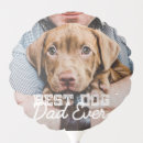 Search for dog balloons Create your own