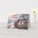 Search for siberian husky christmas cards Alaskan
