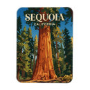 Search for sequoia national park magnets Souvenir