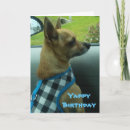 Search for chihuahua birthday cards Dogs
