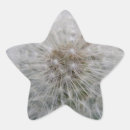 Search for dandelion stickers Nature