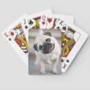 Search for pug playing cards Dog