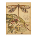 Search for dragonfly art Leaves