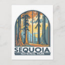 Search for giant postcards Redwood tree