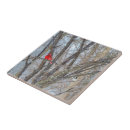 Search for cardinal tiles Bird lover