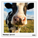 Search for cow wall decals Livestock