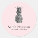 Search for pineapple stickers Modern