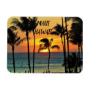 Search for hawaii souvenir magnets Ocean