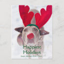 Search for weimaraner christmas cards Animal