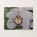 Search for orchid puzzles floral