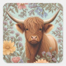 Search for scottish highland cow stickers Cattle