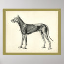 Search for vintage dog posters Canine
