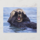 Search for otter postcards Sea