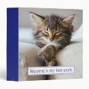 Search for cat folders Humor