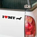 Search for dachshund bumper stickers Breed