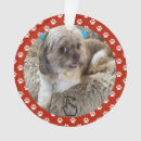 Search for swipe right Cute