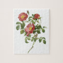 Search for rose puzzles Romance