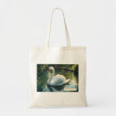 Search for mass bags New england