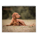 Search for vizsla gifts Magyar