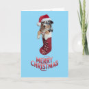 Search for australian christmas cards Santa
