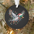 Search for duck ornaments Snow