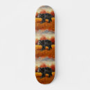 Search for bear skateboards Wild animals