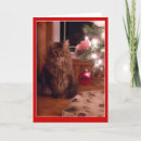 Search for maine coon cat christmas cards Humor