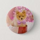 Search for dog buttons Puppy